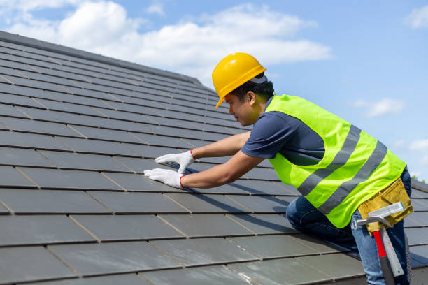 Best Roof Leak Repair  in Nicholls, GA