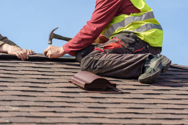 Best Roof Maintenance Services  in Nicholls, GA