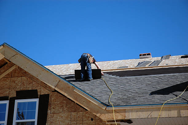 Best New Roof Installation  in Nicholls, GA