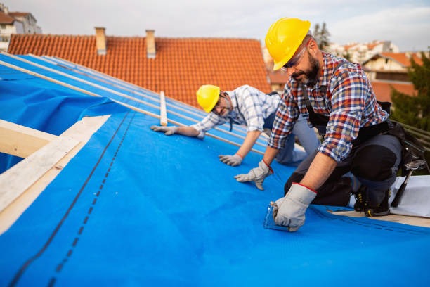 Best Gutter Installation and Roofing  in Nicholls, GA