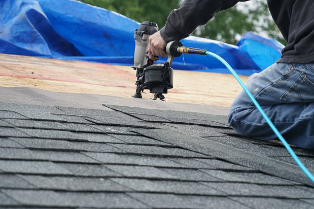 Best Roof Waterproofing Services  in Nicholls, GA