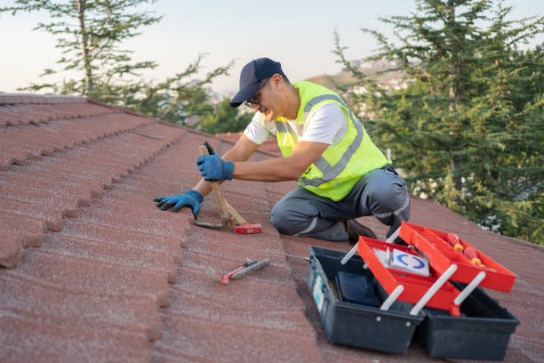 Best Commercial Roofing Services  in Nicholls, GA