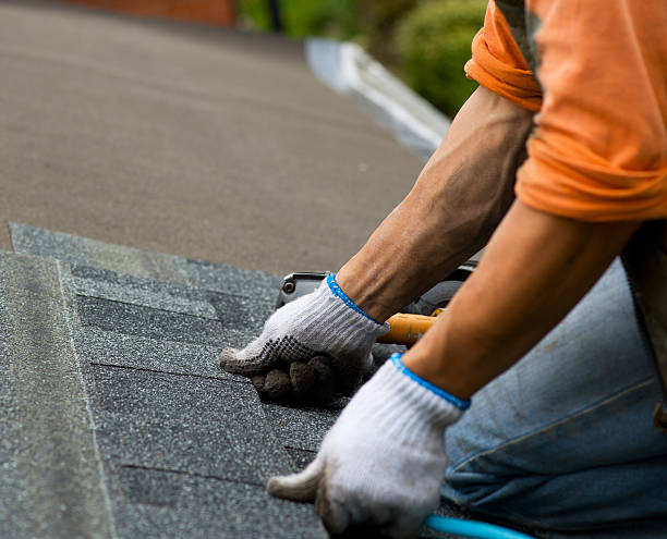 Best New Roof Installation  in Nicholls, GA