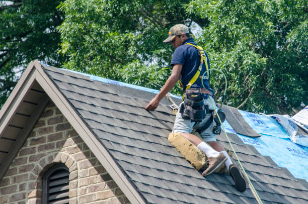 Professional Roofing Contractor in Nicholls, GA